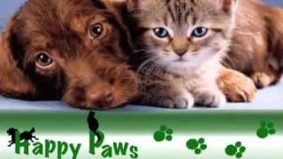 preview picture of video 'Happy Paws Kennels Video | Pet Care in Dixon, CA'