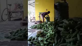 Download lagu pahit.pait leder ....😀😀😀😀 mp3 Download lagu pahit.pait leder ....😀😀😀😀 mp3