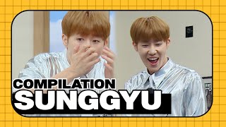 [ENG SUB] INFINTE SungGyu Compilation 💚