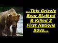 Scary Bear Attacks: First Nations Boys Stalk Wounded Bear, But Are Killed By A Second Bear