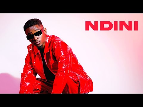 Milez - Ndini (Visualizer)