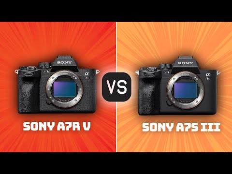 Sony A7R V vs Sony A7S III: Which Camera Is Better? (With Ratings & Sample Footage)