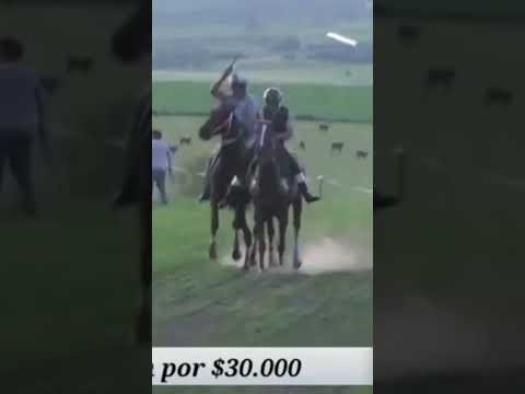 "Peleada" Definición en Raid Municipio de Ismael Cortina