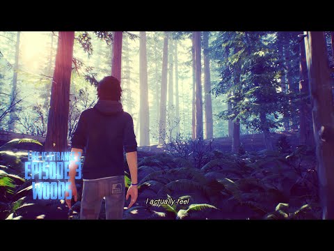 Life is Strange 2 Episode 3 Wastelands Part 1 : The Woods