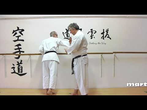 morote uke Bunkai Strategies 2021 week 15 koryu karate oyo jutsu
