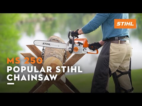 Stihl MS 250 18 in. in Thief River Falls, Minnesota - Video 1