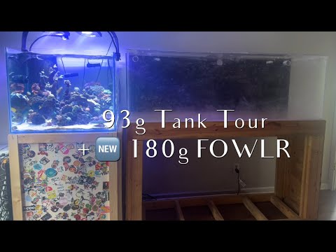 93g Mixed Reef 🪸 Tank Tour + 180g FOWLR tank update 