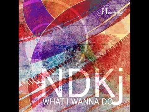 NDKj - What I Wanna Do (Original Mix)