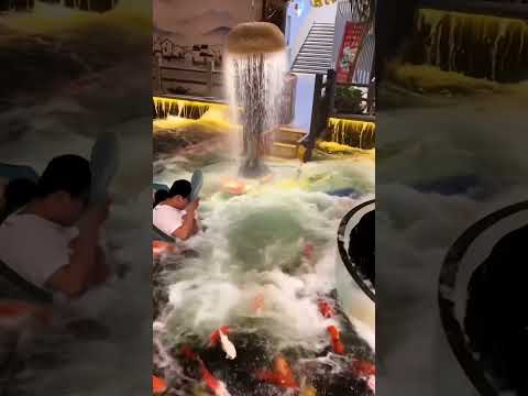 Glass Booth in Water-Themed Restaurant Suddenly Explodes