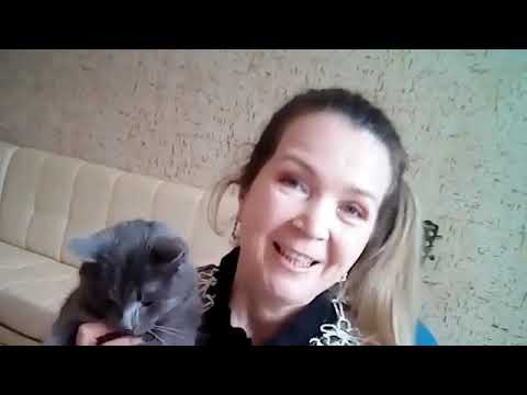 Видеовизитка