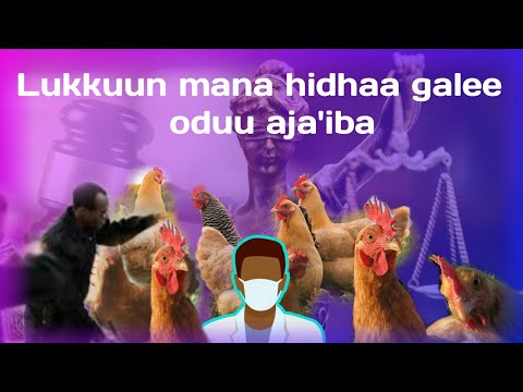lukkuun mana hidhaa galee akkamitti galee ???|oduu gola 99|ibsa🌟boy|oromo|oduu hatattama|✔