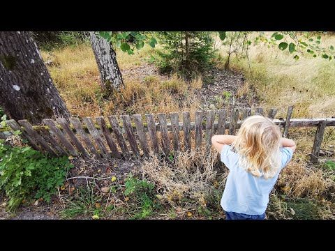 ÖDETOMTEN med STENKÄLLAREN och BRUNNEN - 200914 - JOHANNISHUS - Ronneby