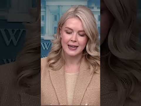 Karoline Leavitt answers question about White House fake news portal