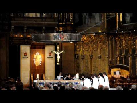 Выступление хора мальчиков монастыря Монсеррат