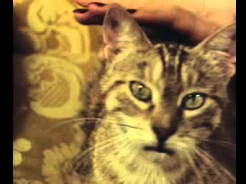 Se smettere di bere targhe anticoncezionali che hanno speso durante mese di bevanda Clinica da alcolismo Bryansk