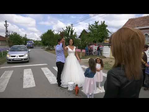 zaila.vasile@gmail.com