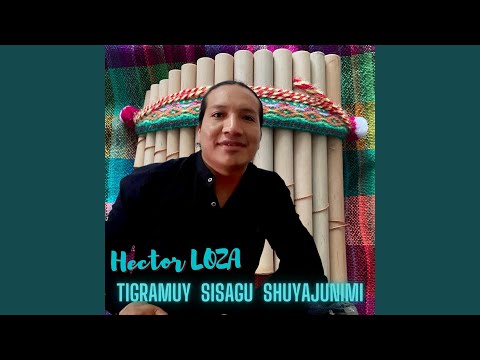 Tigramuy Sisagu Shuyajunimi