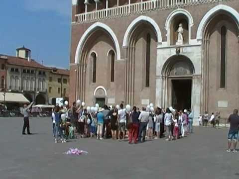 20170602i tredicina dei bambini 2017 - Basilica del Santo