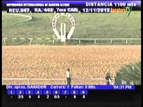 Resumen Lunes, 12 de Noviembre de 2012 - Rancho Alegre