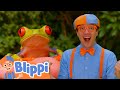 Brave Wilderness Animal Video Educational Videos For Kids