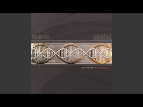 Out of Reality (Original Mix)