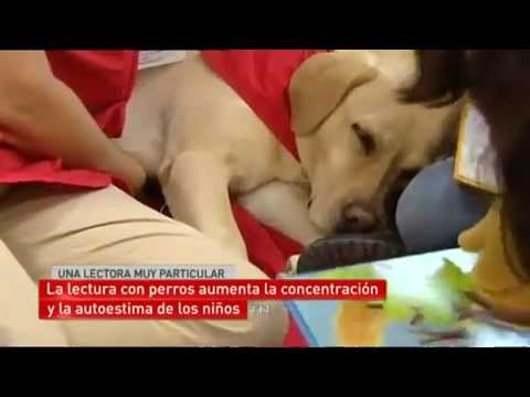 Taller de lectura... ¡para perros!