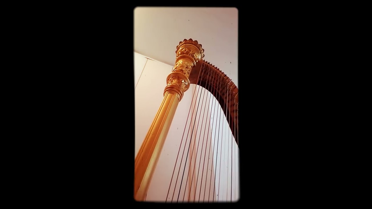 Promotional video thumbnail 3 for Robert Turner: Harpist for Weddings, Holidays, Ceremonies, Orchestra