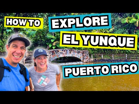 El Yunque Rainforest 🇵🇷 Quick Travel Guide on How to Explore Puerto Rico’s Natural Treasure