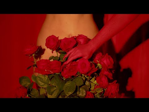 ZenToy - Love Is Gone