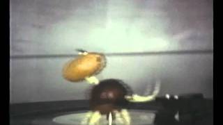 Quarks Wiederkomm (Musikvideo)