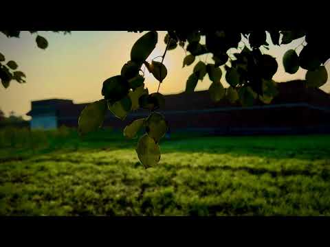 Symphony of Bannu: A Cinematic Ode in 4K