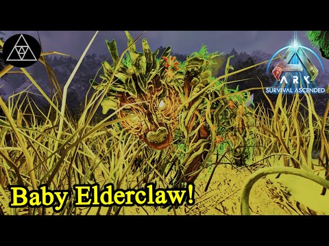 Wir ziehen um! Baby Elderclaw! ► ASA E242 - ARK: Survival Ascended