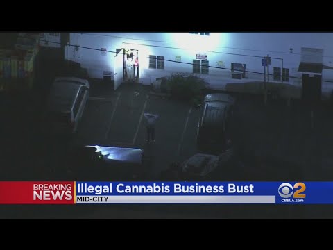 3 Arrested In Raid On Illegal Cannabis Operation In Mid-City
