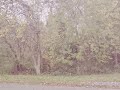 Under My Skin - Jukebox The Ghost (Lyrics)