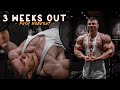 3 WEEKS OUT - Ölümcül itiş günü/Ailemizin yeni üyesi 😍