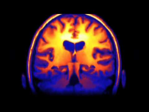 Love, Hate & Everything In Between: A film on empathy -- Trailer