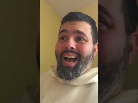 Day 17 the trap of false sincerity by Fr. Jesse Maingot OP