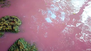 Isinuka Mud Caves and Sulphur Pools  ( Pink Water ) in Port St johns, Eastern Cape, South Africa