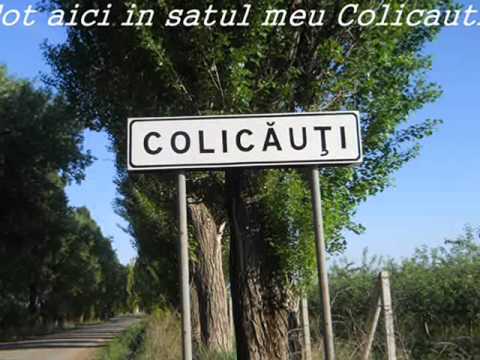 Colicauti satul meu natal.wmv