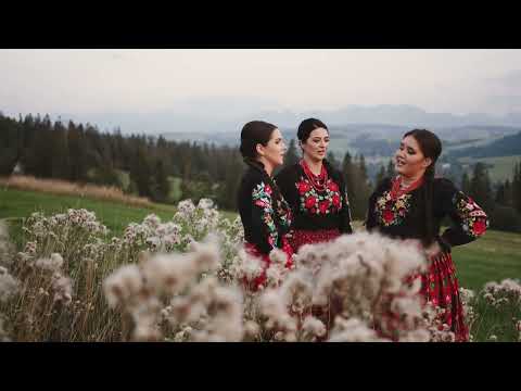 Jedla - Hej wydałak sie .. :)