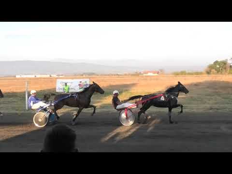 Trka "Astrea" 11.10.2018 Ivan Turgenev A.T.-Dejan Petrović