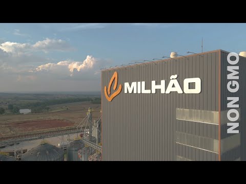 Milhão Agro video thumbnail