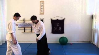 Aiki-Lab:  Aikido from the first intention