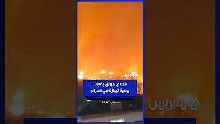 اندلاع حرائق بغابات ولاية تيبازة بالجزائر thumbnail