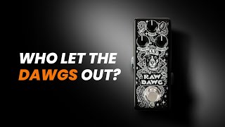 Video thumbnail for CHEWY & BALANCED OVERDRIVE TONES: MXR Raw Dawg Eric Gales Signature Overdrive Pedal Demo by Rhythm & Beard