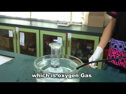 Decomposition Of Hydrogen Peroxide -- Bj Cat's Academic Channel --