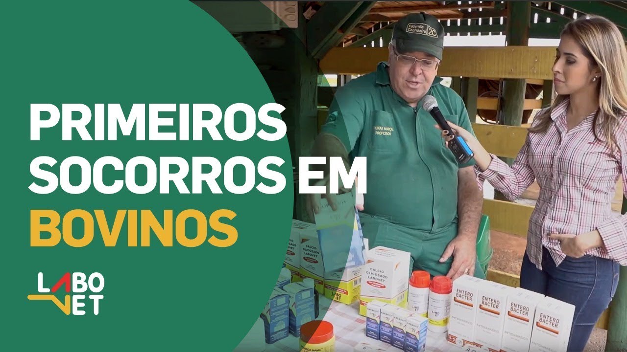 Primeiros Socorros em Bovinos