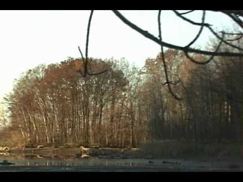 DrinkHorn - Autumn Grieving (The Eternal Repetition Pt. 1) *music video*