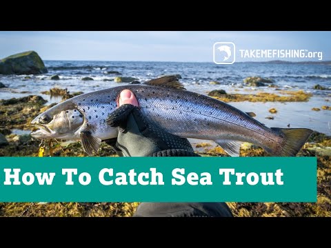 How To Catch Sea Trout