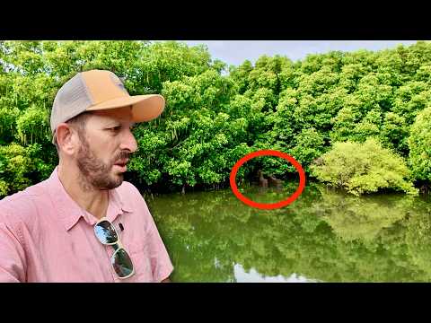 I Stumbled Onto Something Near Sanur I Can't Explain